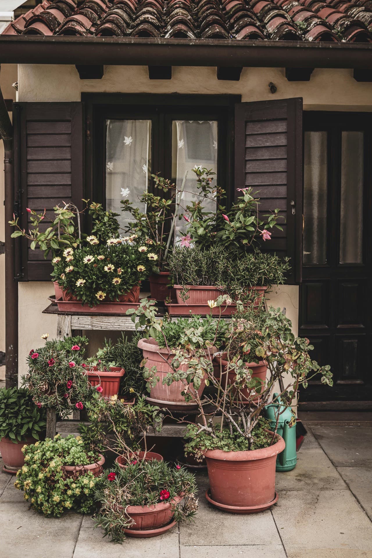 Backyard before renovation